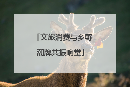 文旅消费与乡野潮牌共振响堂