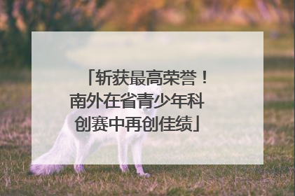 斩获最高荣誉！南外在省青少年科创赛中再创佳绩