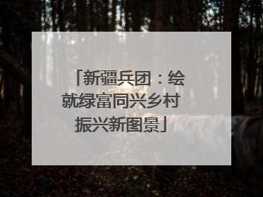 新疆兵团：绘就绿富同兴乡村振兴新图景
