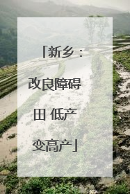 新乡：改良障碍田 低产变高产