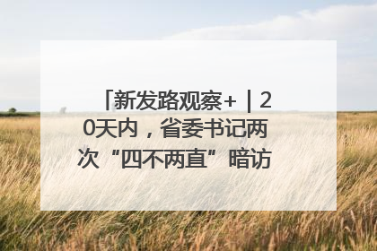 新发路观察+｜20天内，省委书记两次“四不两直”暗访，有何深意？