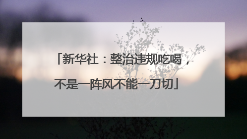 新华社：整治违规吃喝，不是一阵风不能一刀切