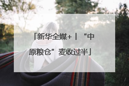 新华全媒+丨“中原粮仓”麦收过半