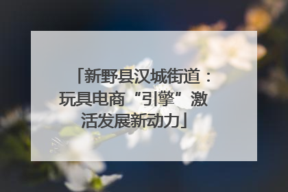 新野县汉城街道：玩具电商“引擎”激活发展新动力