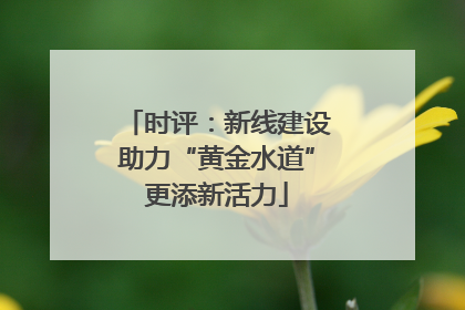 时评：新线建设助力“黄金水道”更添新活力