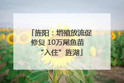 旌阳：增殖放流促修复 10万尾鱼苗“入住”旌湖