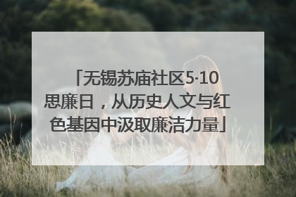 无锡苏庙社区5·10思廉日，从历史人文与红色基因中汲取廉洁力量