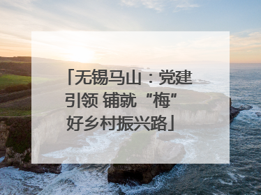 无锡马山：党建引领 铺就“梅”好乡村振兴路