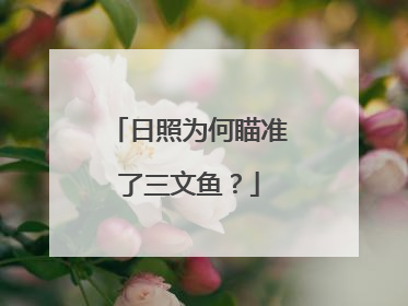 日照为何瞄准了三文鱼？