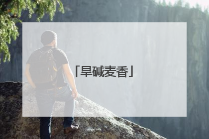 旱碱麦香