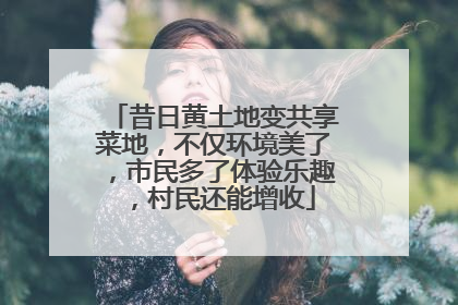 昔日黄土地变共享菜地，不仅环境美了，市民多了体验乐趣，村民还能增收