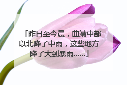 昨日至今晨，曲靖中部以北降了中雨，这些地方降了大到暴雨……