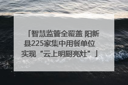 智慧监管全覆盖 阳新县225家集中用餐单位实现“云上明厨亮灶”