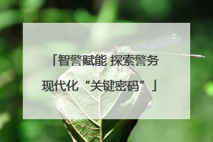 智警赋能 探索警务现代化“关键密码”