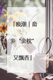 晚潮｜畲乡“金枕”又飘香