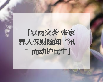 暴雨突袭 张家界人保财险闻“汛”而动护民生