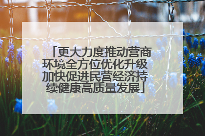 更大力度推动营商环境全方位优化升级加快促进民营经济持续健康高质量发展