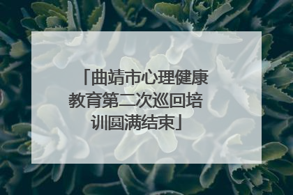 曲靖市心理健康教育第二次巡回培训圆满结束