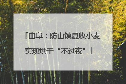 曲阜：防山镇夏收小麦实现烘干“不过夜”