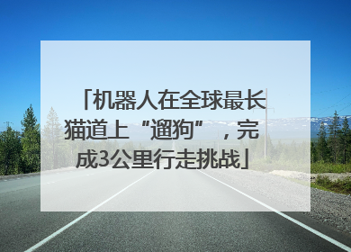 机器人在全球最长猫道上“遛狗”，完成3公里行走挑战