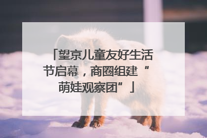望京儿童友好生活节启幕，商圈组建“萌娃观察团”