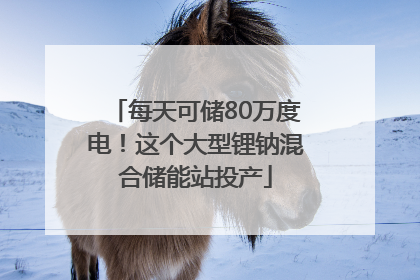 每天可储80万度电！这个大型锂钠混合储能站投产
