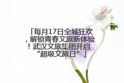 每月17日全城狂欢，解锁青春文旅新体验！武汉文旅集团开启 “超级文旅日”