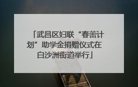 武昌区妇联“春蕾计划”助学金捐赠仪式在白沙洲街道举行