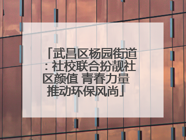 武昌区杨园街道：社校联合扮靓社区颜值 青春力量推动环保风尚