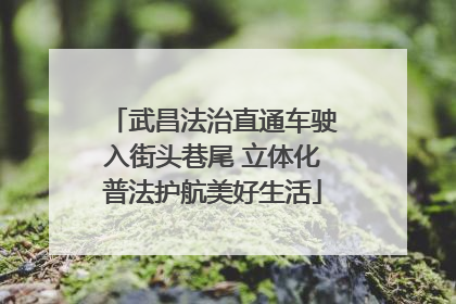 武昌法治直通车驶入街头巷尾 立体化普法护航美好生活