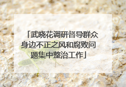 武晓花调研督导群众身边不正之风和腐败问题集中整治工作