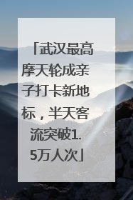武汉最高摩天轮成亲子打卡新地标，半天客流突破1.5万人次