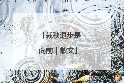栽秧退步是向前｜散文