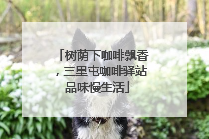 树荫下咖啡飘香，三里屯咖啡驿站品味慢生活