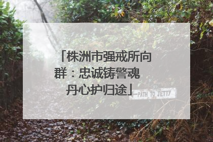 株洲市强戒所向群：忠诚铸警魂 丹心护归途