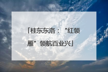 桂东东洛：“红领雁”领航百业兴