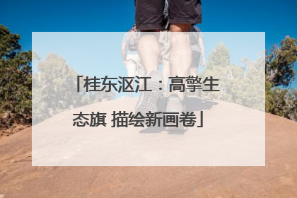 桂东沤江：高擎生态旗 描绘新画卷