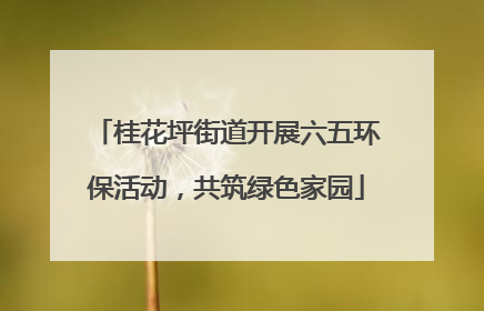 桂花坪街道开展六五环保活动，共筑绿色家园