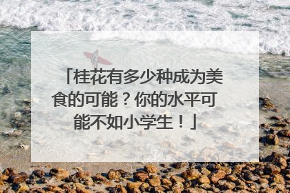桂花有多少种成为美食的可能？你的水平可能不如小学生！