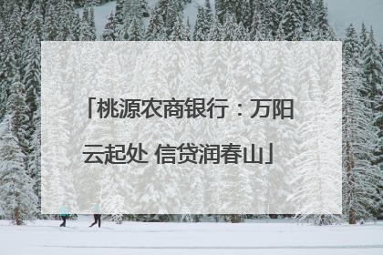 桃源农商银行：万阳云起处 信贷润春山