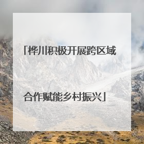 桦川积极开展跨区域合作赋能乡村振兴