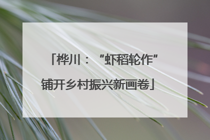 桦川：“虾稻轮作”铺开乡村振兴新画卷