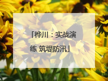 桦川：实战演练 筑堤防汛