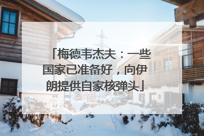 梅德韦杰夫：一些国家已准备好，向伊朗提供自家核弹头