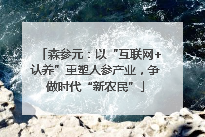 森参元：以“互联网+认养”重塑人参产业，争做时代“新农民”