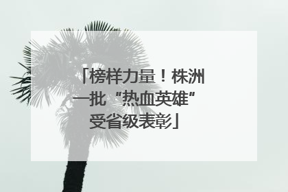 榜样力量！株洲一批“热血英雄”受省级表彰