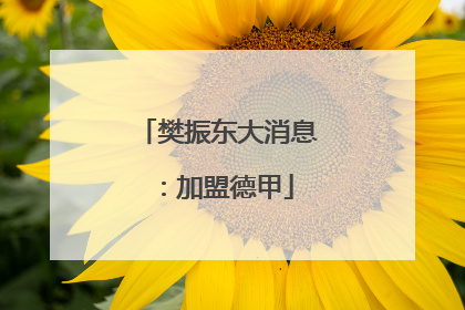 樊振东大消息：加盟德甲