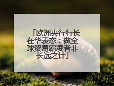 欧洲央行行长在华表态：做全球贸易霸凌者非长远之计