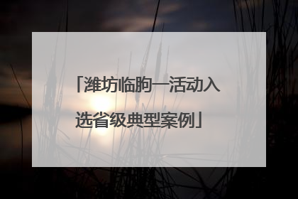 潍坊临朐一活动入选省级典型案例