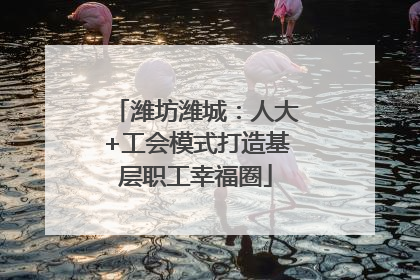 潍坊潍城：人大+工会模式打造基层职工幸福圈